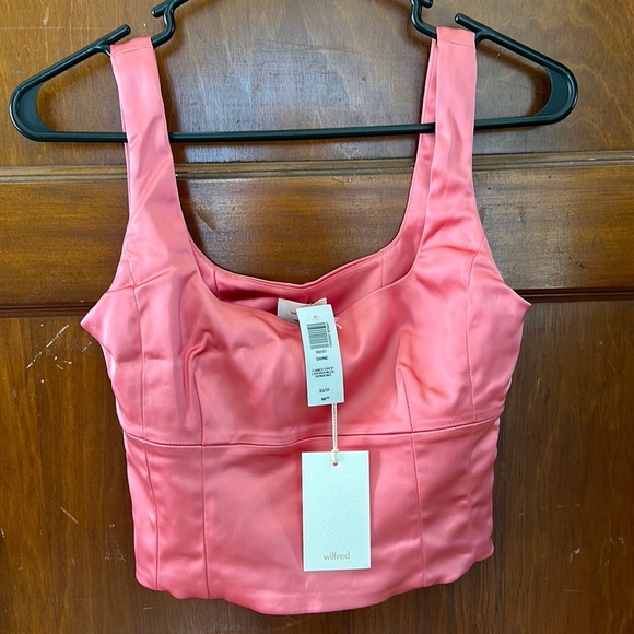 Aritzia Shine Bustier Crop Top - Picture 3 of 4